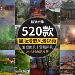 竖版竖屏唯美下雨雪景清新自然风景治愈系美景色直播背景视频素材-泰戈创艺资源库