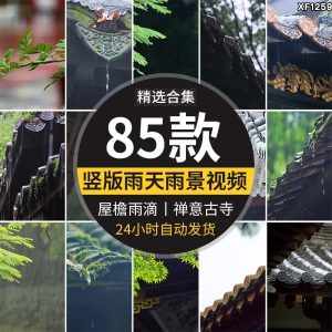 竖版竖屏禅意古风寺庙屋檐下雨天雨水滴落禅意佛系清新短视频素材-泰戈创艺资源库