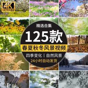 四季植物天气变幻变化季节交替春夏秋冬季抖音高清剪辑短视频素材-泰戈创艺资源库