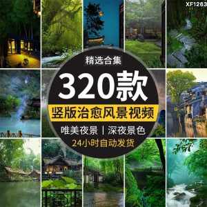 治愈系竖版竖屏深夜唯美风景星空夜景月亮清新抖音快手短视频素材-泰戈创艺资源库