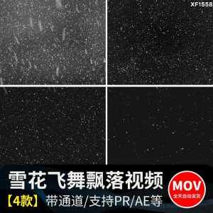 下雪雪花飘落大雪飞舞暴风雪景唯美特效ae/pr带透明通道视频素材-泰戈创艺资源库