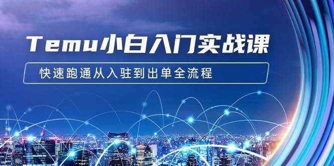 （9295期）Temu小白入门实战课：跨境拼多多电商培训 快速跑通从入驻到出单全流程-12节-泰戈创艺资源库
