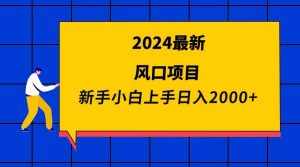 (9483期)2024最新风口项目 新手小白日入2000+-泰戈创艺资源库