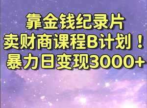 （8944期）靠金钱纪录片卖财商课程B计划！暴力日变现3000+，喂饭式干货教程！-泰戈创艺资源库