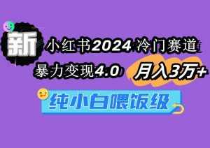 （9133期）小红书2024冷门赛道 月入3万+ 暴力变现4.0 纯小白喂饭级-泰戈创艺资源库