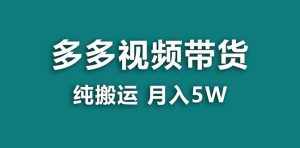 （8491期）【蓝海项目】拼多多视频带货 纯搬运一个月搞了5w佣金，小白也能操作 送工具-泰戈创艺资源库