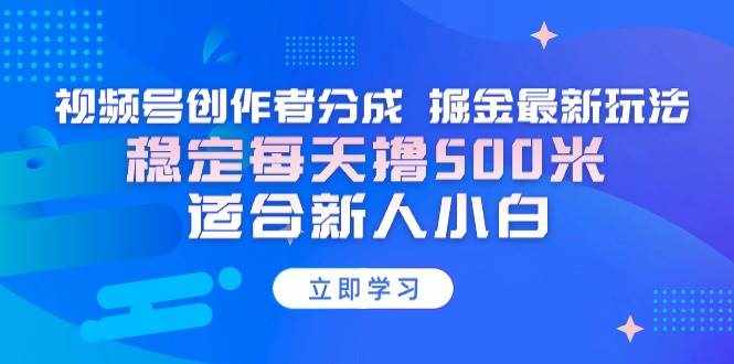 （9185期）【蓝海项目】视频号创作者分成 掘金最新玩法 稳定每天撸500米 适合新人小白-泰戈创艺资源库