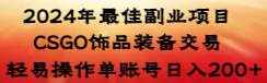 （8941期）2024年最佳副业项目 CSGO饰品装备交易 轻易操作单账号日入200+-泰戈创艺资源库