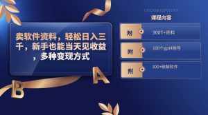 （8582期）卖软件资料，轻松日入三千，新手也能当天见收益，多种变现方式，（附300…-泰戈创艺资源库