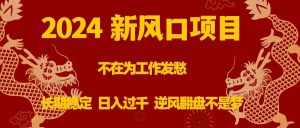 （8587期）2024新风口项目，不在为工作发愁，长期稳定，日入过千 逆风翻盘不是梦-泰戈创艺资源库