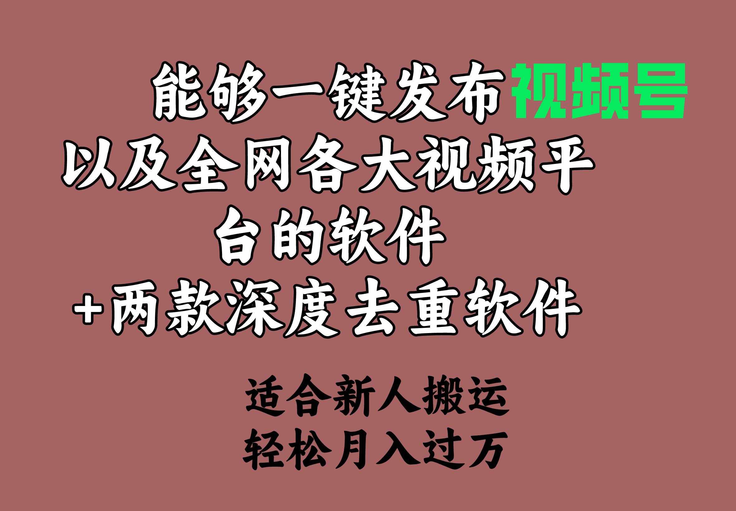 （9319期）能够一键发布视频号以及全网各大视频平台的软件+两款深度去重软件 适合…-泰戈创艺资源库