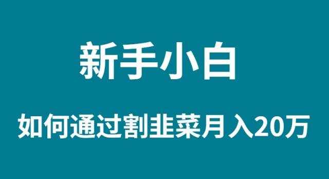 （9308期）新手小白如何通过割韭菜月入 20W-泰戈创艺资源库