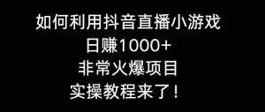 （8870期）如何利用抖音直播小游戏日赚1000+，非常火爆项目，实操教程来了！-泰戈创艺资源库