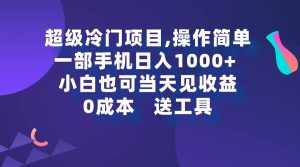 (9291期)超级冷门项目,操作简单,一部手机轻松日入1000+,小白也可当天看见收益-泰戈创艺资源库