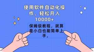 （9110期）使用软件自动化操作，轻松月入10000+，保姆级教程，就算是小白也能简单上手-泰戈创艺资源库