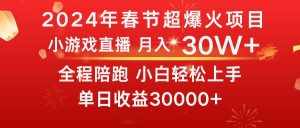（8873期）龙年2024过年期间，最爆火的项目 抓住机会 普通小白如何逆袭一个月收益30W+-泰戈创艺资源库