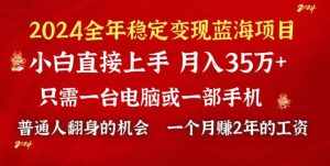 （8984期）2024蓝海项目 小游戏直播 单日收益10000 ，月入35W,小白当天上手-泰戈创艺资源库