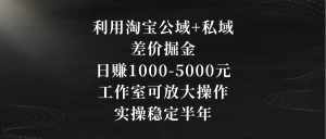 （8952期）利用淘宝公域+私域差价掘金，日赚1000-5000元，工作室可放大操作，实操…-泰戈创艺资源库