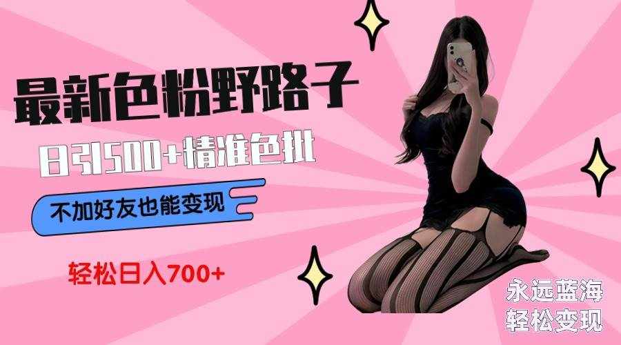 （9119期）最新色粉变现野路子，日引500+老色批 可不加好友直接变现 小白轻松日入700+-泰戈创艺资源库