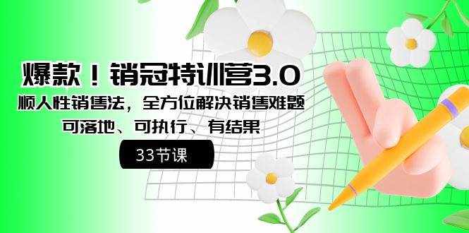 （8573期）爆款！销冠特训营3.0之顺人性销售法，全方位解决销售难题、可落地、可执…-泰戈创艺资源库