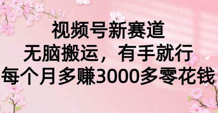 （9278期）视频号新赛道，无脑搬运，有手就行，每个月多赚3000多零花钱-泰戈创艺资源库