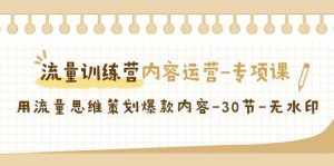 （9013期）流量训练营之内容运营-专项课，用流量思维策划爆款内容-30节-无水印-泰戈创艺资源库