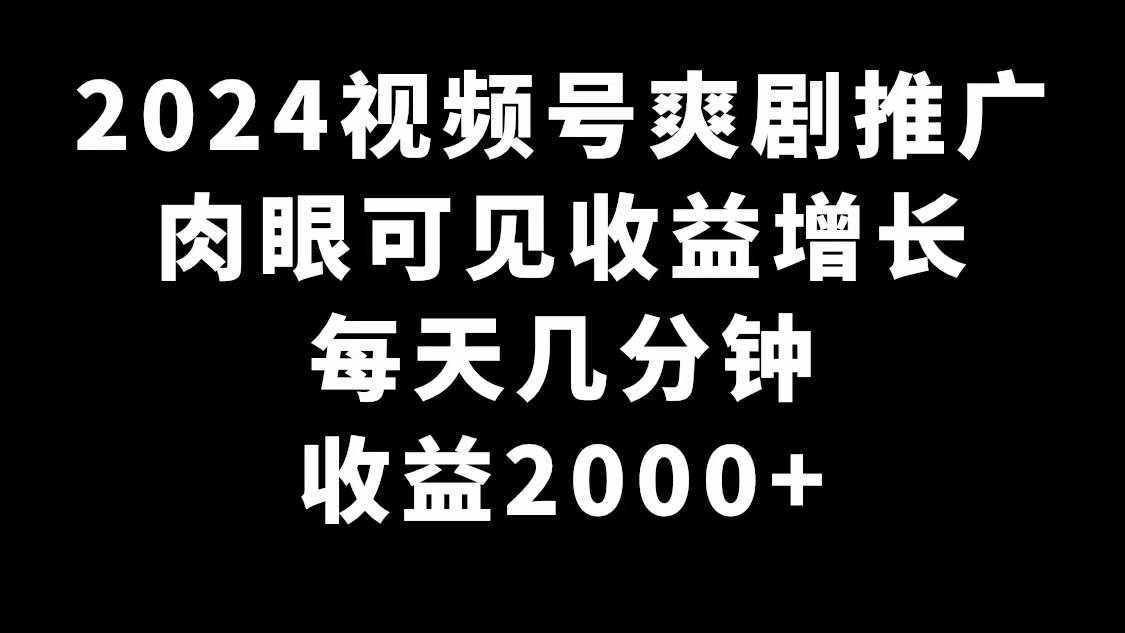（9028期）2024视频号爽剧推广，肉眼可见的收益增长，每天几分钟收益2000+-泰戈创艺资源库