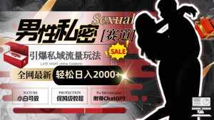 (8713期)全网最新男性私密赛道玩法,引爆私域流量,轻松日入2000+-泰戈创艺资源库