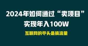 （9147期） 2024年如何通过“卖项目”实现年入100W-泰戈创艺资源库