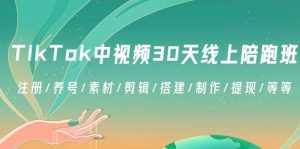 （8963期）TikTok中视频-30天线上陪跑班：注册/养号/素材/剪辑/搭建/制作/提现/等等-泰戈创艺资源库