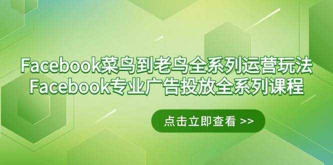 （9064期）Facebook-菜鸟到老鸟全系列运营玩法+Facebook-专业广告投放全系列课程-泰戈创艺资源库