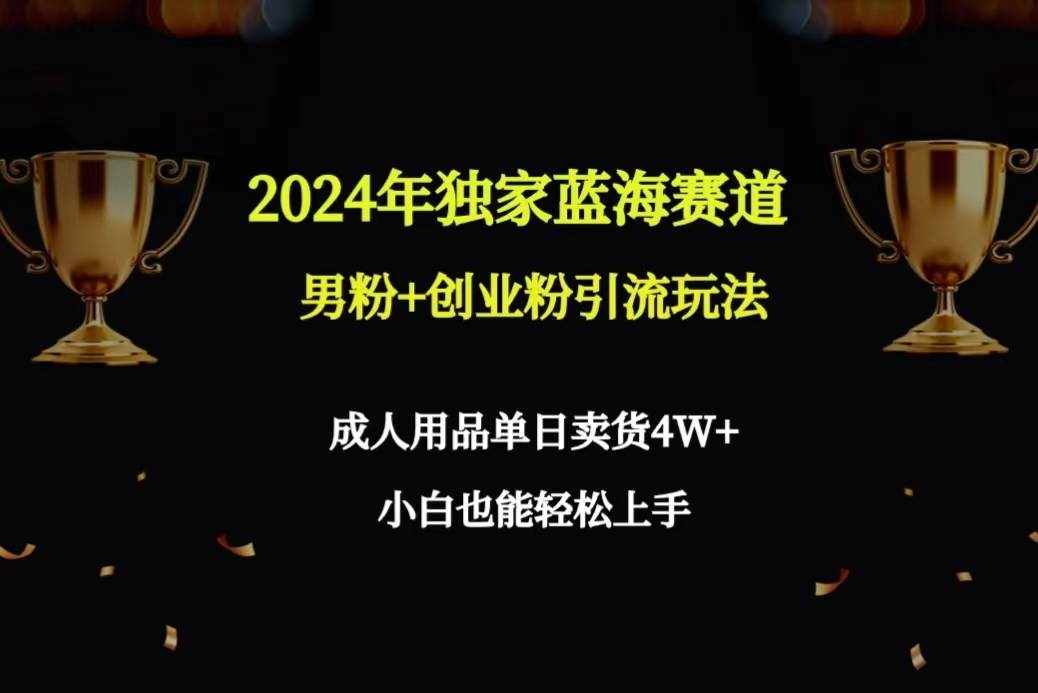 （9112期）2024年独家蓝海赛道男粉+创业粉引流玩法，成人用品单日卖货4W+保姆教程-泰戈创艺资源库