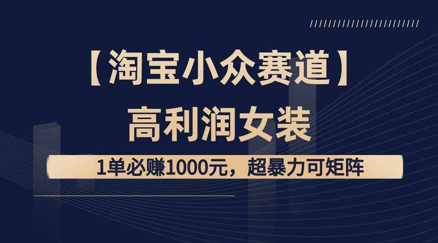 （8608期）【淘宝小众赛道】高利润女装：1单必赚1000元，超暴力可矩阵-泰戈创艺资源库