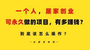 (9141期)一个人,居家创业:B站每天10分钟,单账号日引创业粉100+,月稳定变现5W…-泰戈创艺资源库