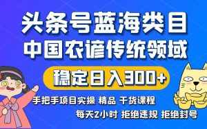 (8595期)头条号蓝海类目传统和农谚领域实操精品课程拒绝违规封号稳定日入300+-泰戈创艺资源库