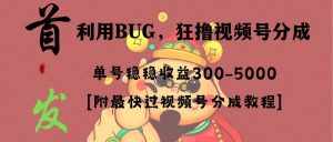 (8549期)全网独家首发,视频号BUG,超短期项目,单号每日净收益300-5000!-泰戈创艺资源库