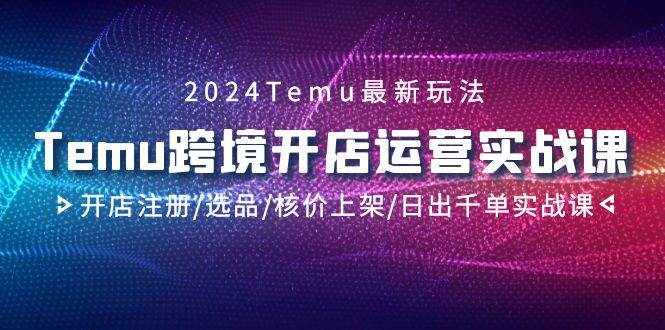 （9208期）2024Temu跨境开店运营实战课，开店注册/选品/核价上架/日出千单实战课-泰戈创艺资源库