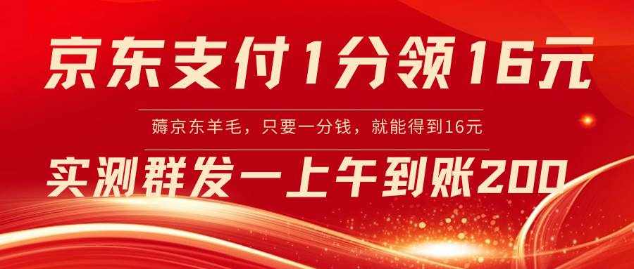 （8678期）京东支付1分得16元实操到账200-泰戈创艺资源库