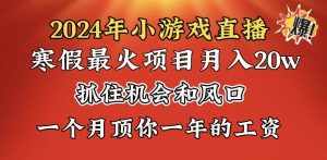 （8778期）2024年寒假爆火项目，小游戏直播月入20w+，学会了之后你将翻身-泰戈创艺资源库