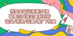 (9333期)拼多多培训班第34期:做高价女装必盈利剖析 选品/测款/运营/推广/拓展-泰戈创艺资源库