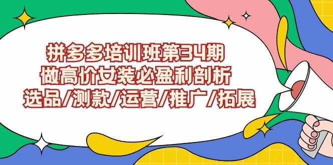 （9333期）拼多多培训班第34期：做高价女装必盈利剖析  选品/测款/运营/推广/拓展-泰戈创艺资源库