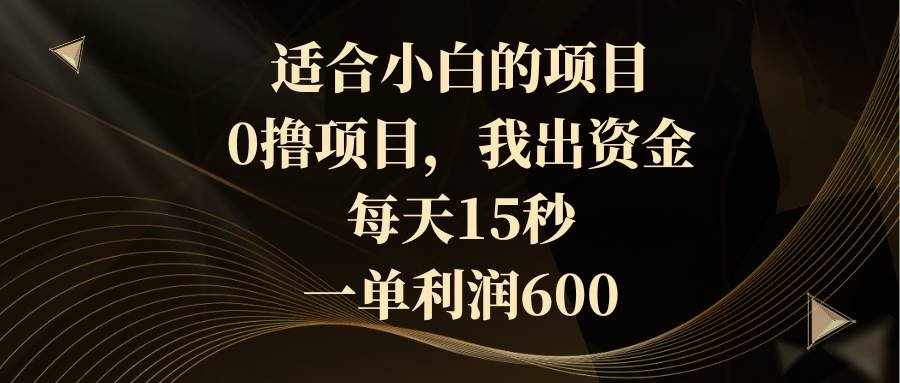 （8571期）适合小白的项目，0撸项目，我出资金，每天15秒，一单利润600-泰戈创艺资源库