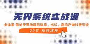 （8446期）无界系统实战课，全体系·落地无界改版后选择、出价、高投产做付费引流-泰戈创艺资源库