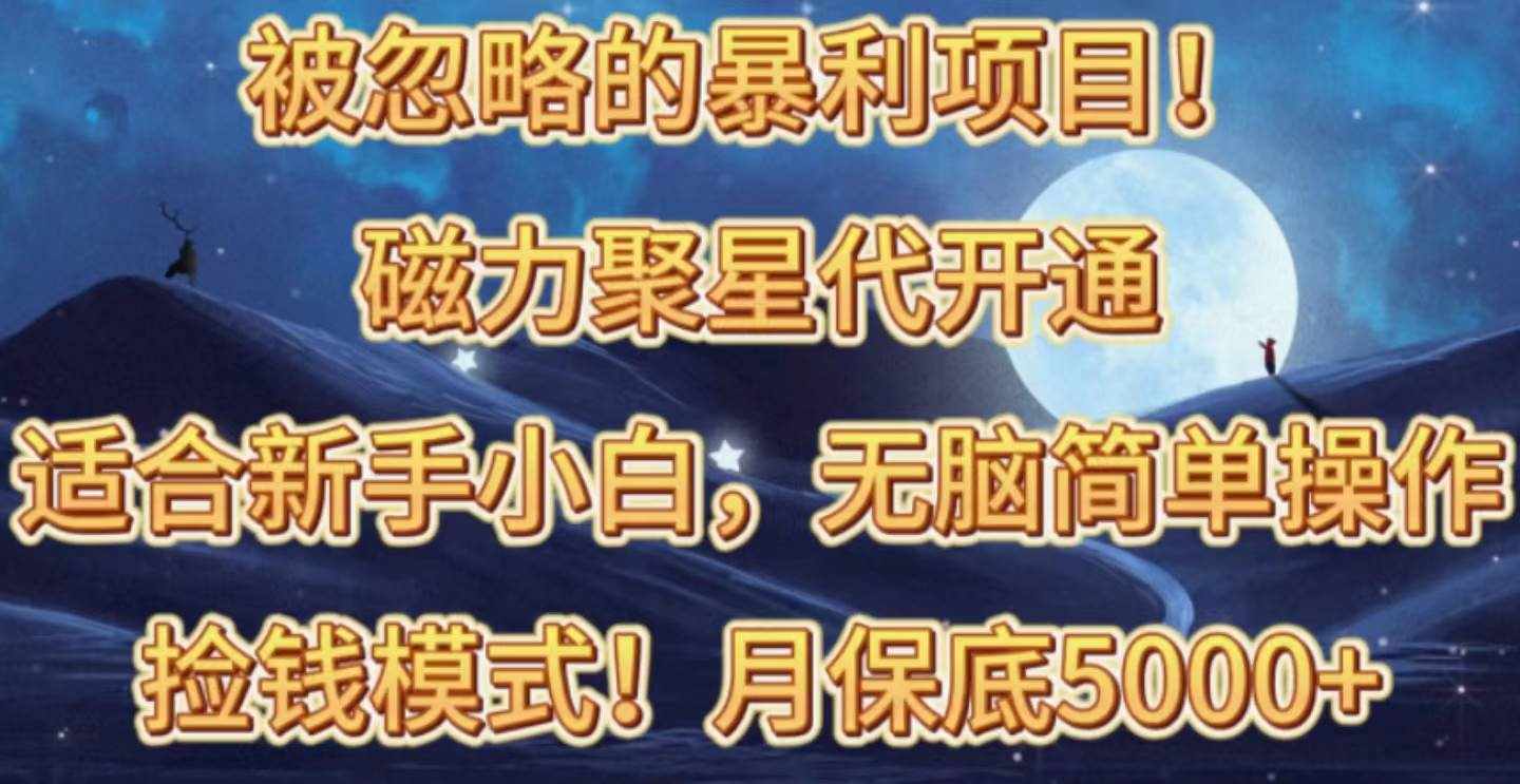 （10245期）被忽略的暴利项目！磁力聚星代开通捡钱模式，轻松月入五六千-泰戈创艺资源库