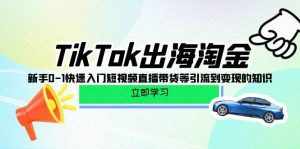 （10035期）TikTok-出海淘金，新手0-1快速入门短视频直播带货等引流到变现的知识-泰戈创艺资源库