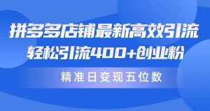 (10041期)拼多多店铺最新高效引流术,轻松引流400+创业粉,精准日变现五位数!-泰戈创艺资源库