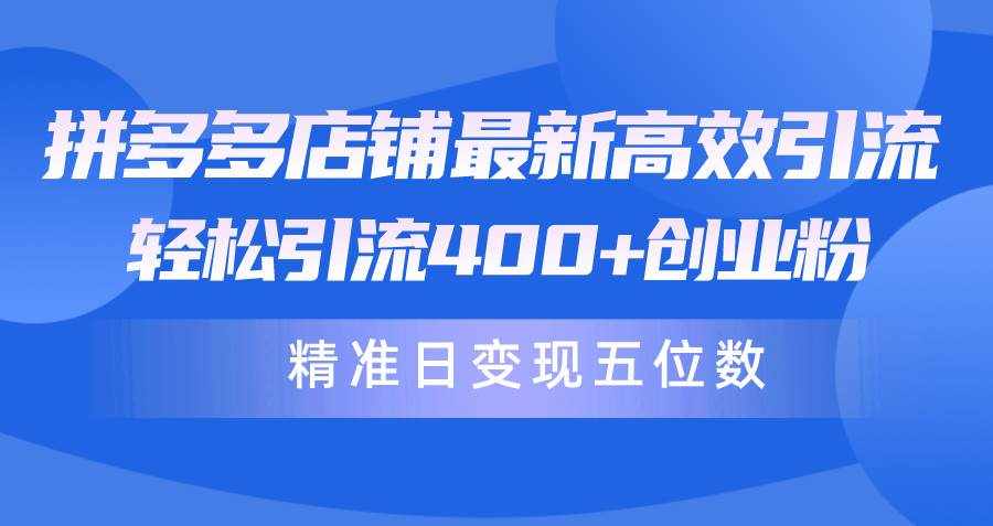 （10041期）拼多多店铺最新高效引流术，轻松引流400+创业粉，精准日变现五位数！-泰戈创艺资源库