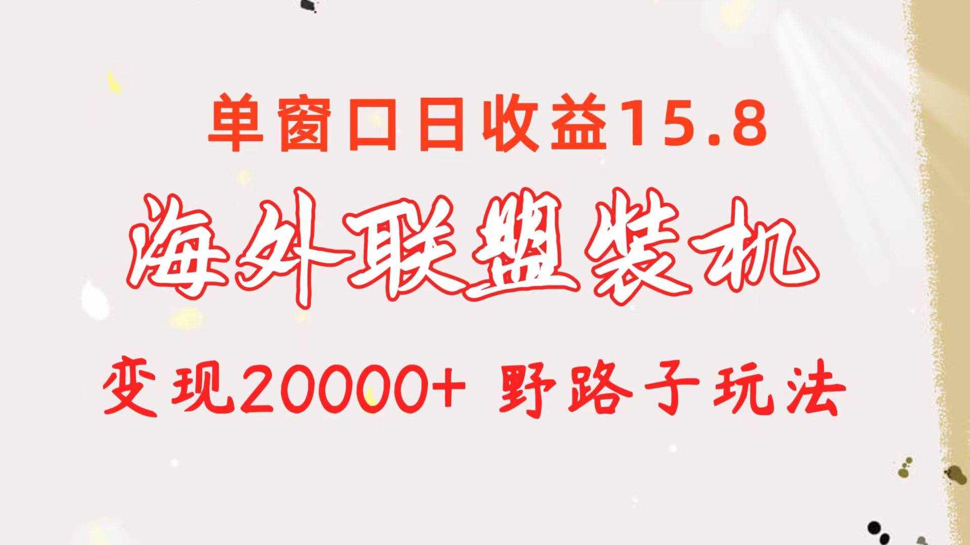 （10475期）海外联盟装机 单窗口日收益15.8  变现20000+ 野路子玩法-泰戈创艺资源库