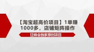 (9849期)【淘宝超高价项目】1单赚1000多,店铺矩阵操作-泰戈创艺资源库