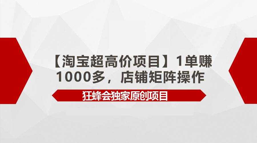 （9849期）【淘宝超高价项目】1单赚1000多，店铺矩阵操作-泰戈创艺资源库